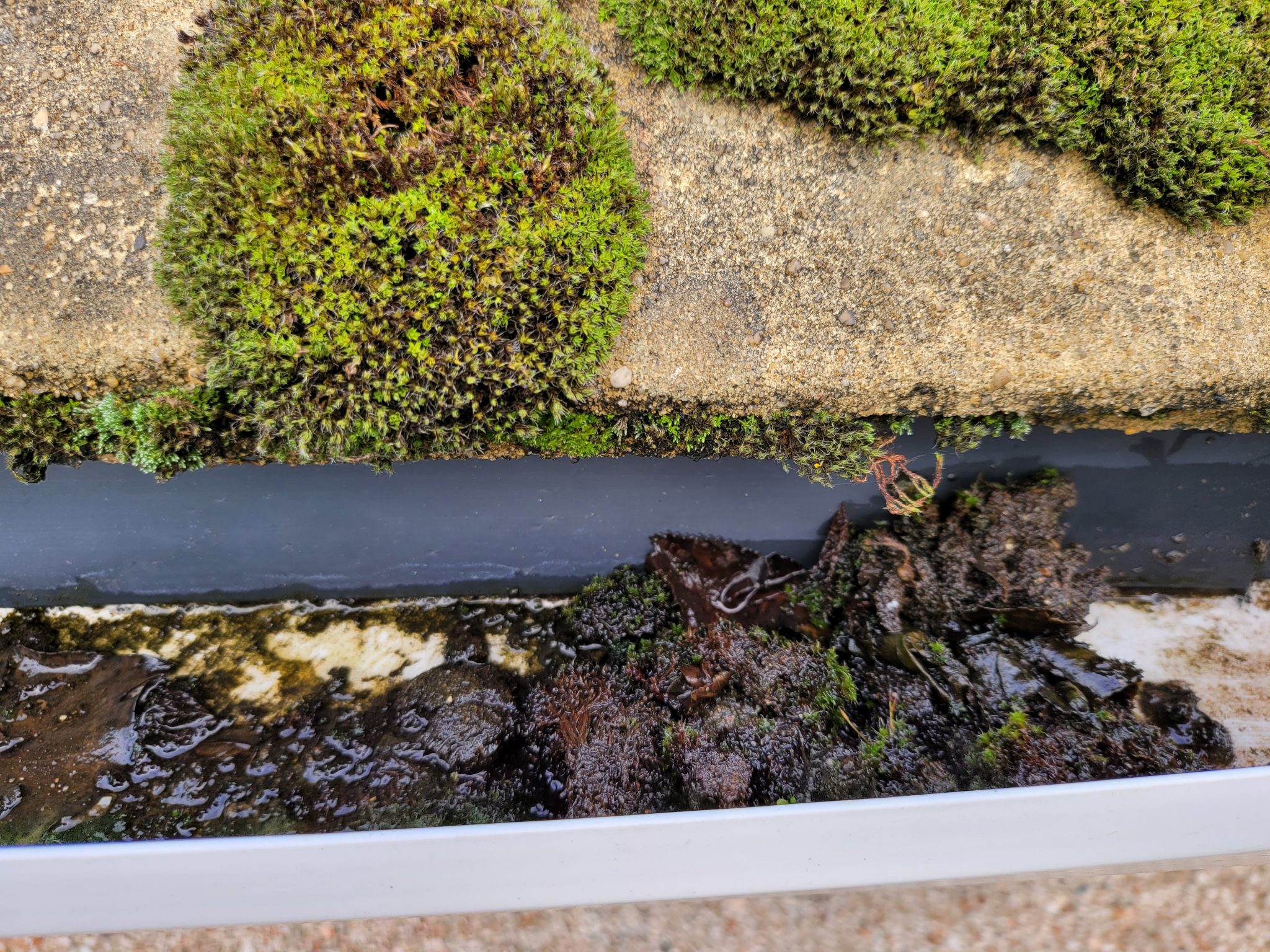 Gutter, Soffit, and Fascia Cleaning Ashford Kent