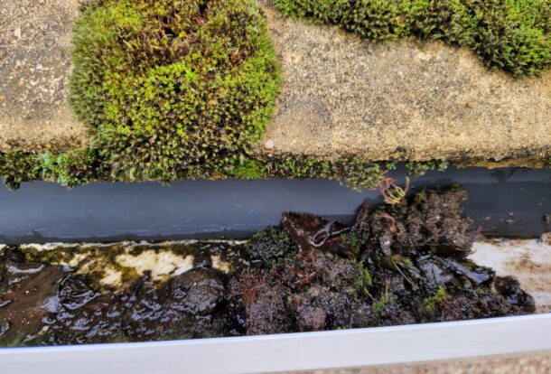 Ashford Kent gutter cleaning