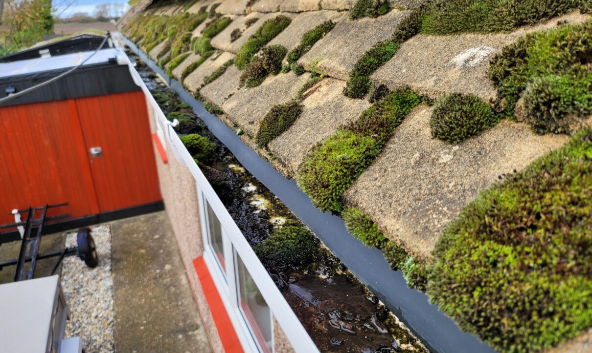 Ashford Kent gutter cleanign speacialist