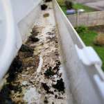 Gutter Cleaning Canterbury