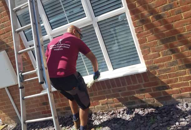 cleaners use eco friendly products